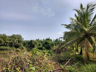 Goa Visiting Places