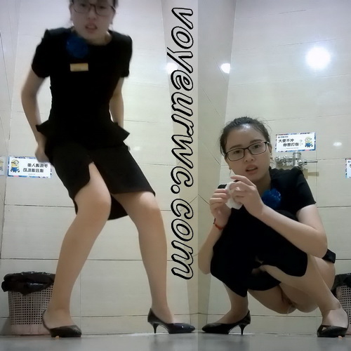 Hidden cam in the female toilet of a mall recording a lot of girls pissing (Shopping mall Toilet Pissing 04)