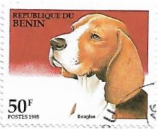 Selo Beagle