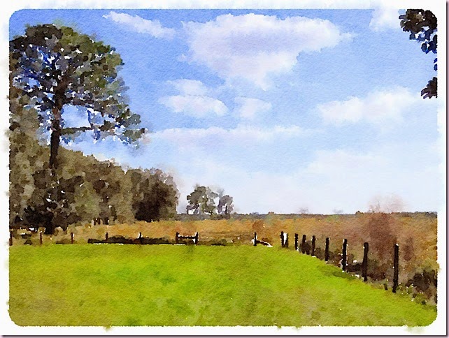 field