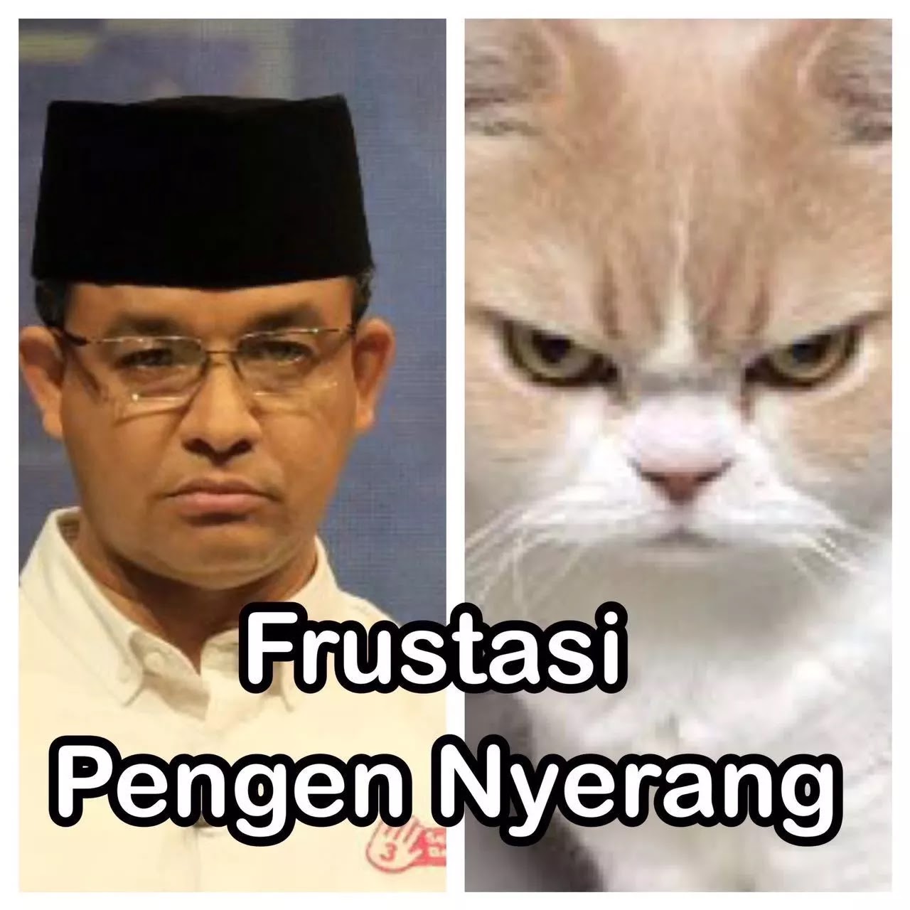 Kumpulan Meme Lucu Viral Kumpulan Gambar Meme Lucu