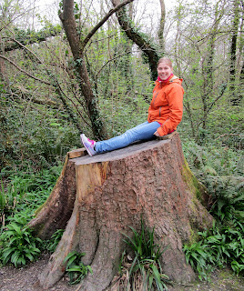 Ballyseedy woods
