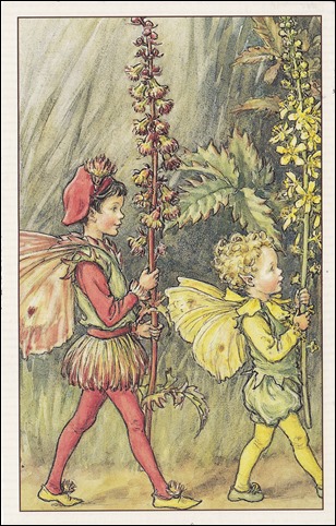 Flower Fairies of the Wayside