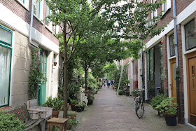 container garden, flowers, Haafner, Haarlem, urban gardens