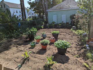 A photo of a plot of land with raked dirt and a few plants (8 in pots, several in the ground).