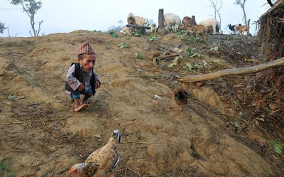 Chandra Bahadur Dangi