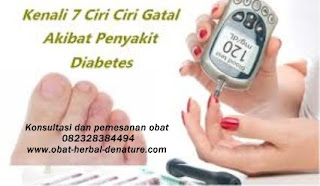 obat diabetes militus,obat herbal diabetes,obat diabetes herbal,cara mengobati diabetes secara herbal,pengobatan diabetes secara herbal,pengobatan diabetes tanpa resep dokter