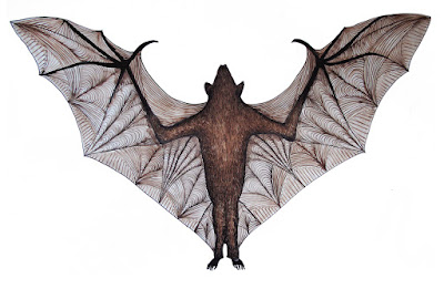 bat clipart outline 