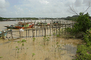 The river that taxed (Chukai), Kemaman