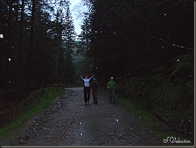 SAM_1804 SAM_1804