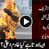 White label terrorists of Pakistan