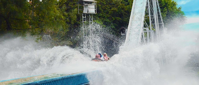 niagara gara dufan