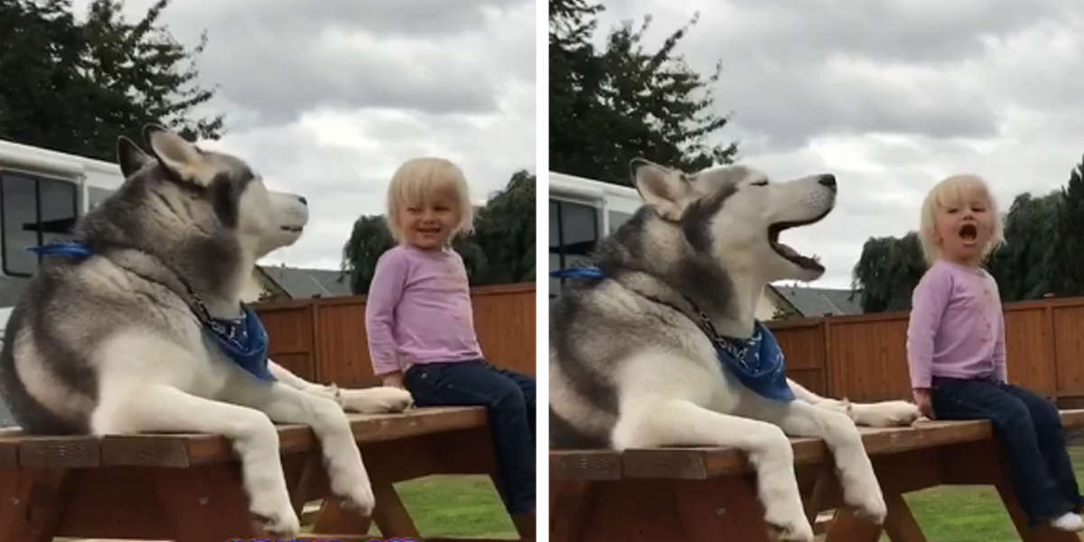 Adorable Conversation Of Little Girl And Dog That Developed A Language Of Their Own