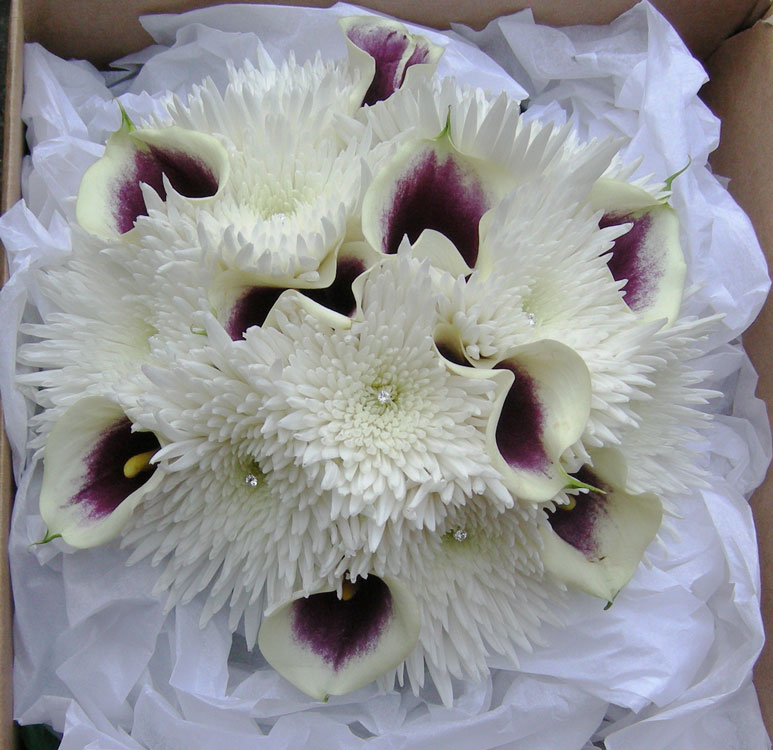 Catherine's winter wedding bouquet of ivory and purple calla lilies mixed 