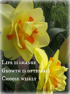 Faith does not make things easy, it makes them possible., Luke 1:37, Growing Daffodils, Growing as a person, Dealing with Life's Stressful issues, Florals-Family-Faith, Cindy Rippe