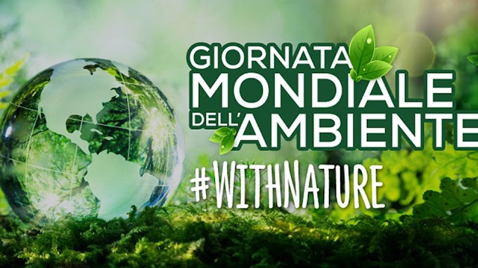 Matera partecipa alla Giornata mondiale dell'ambiente