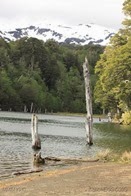 IMG_2582