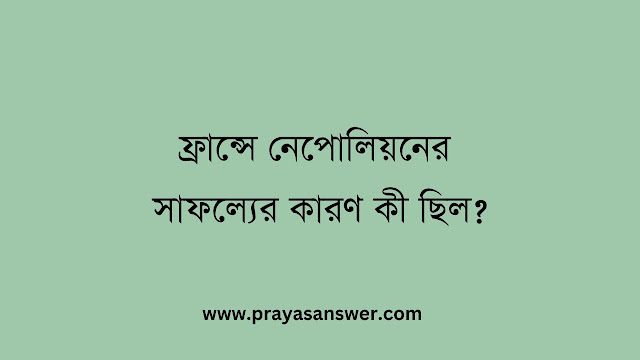 ফ্রান্সে নেপোলিয়নের সাফল্যের কারণ কী ছিল