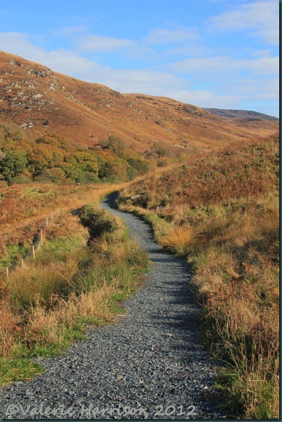 32-new-footpath-glentrool
