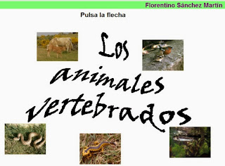 http://cplosangeles.juntaextremadura.net/web/edilim/curso_3/cmedio/animales_vertebrados_3/vertebrados/vertebrados.html