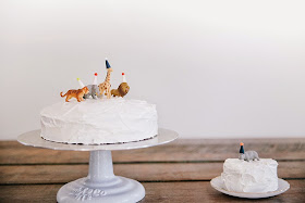 decoracao-bolo-aniversario-animais