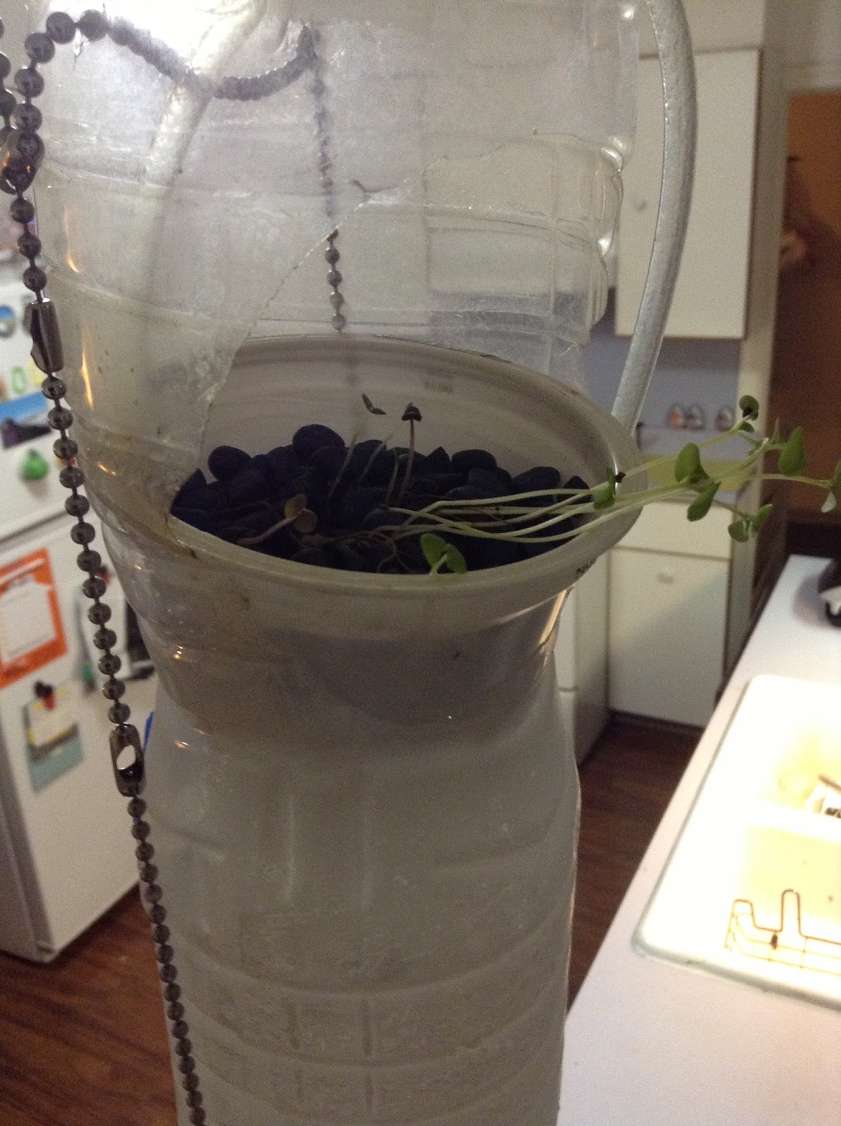 Aquaponics Alive!: April 2013