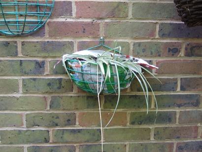 Wall_hanging_basket_lined_with_frozen_food_bag1