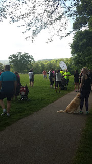 Lanhydrock park run Cornwall