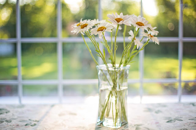 daisies in a jar by the window