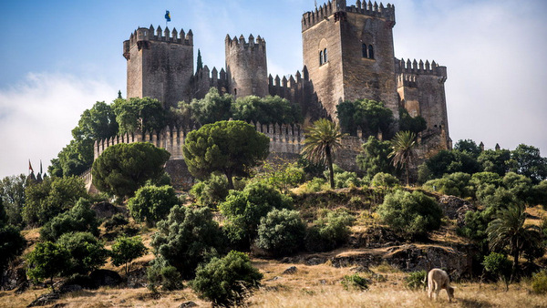 Castillo de Almodovar