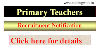 Pre Primary Teacher Recruitment - Government of   Punjab