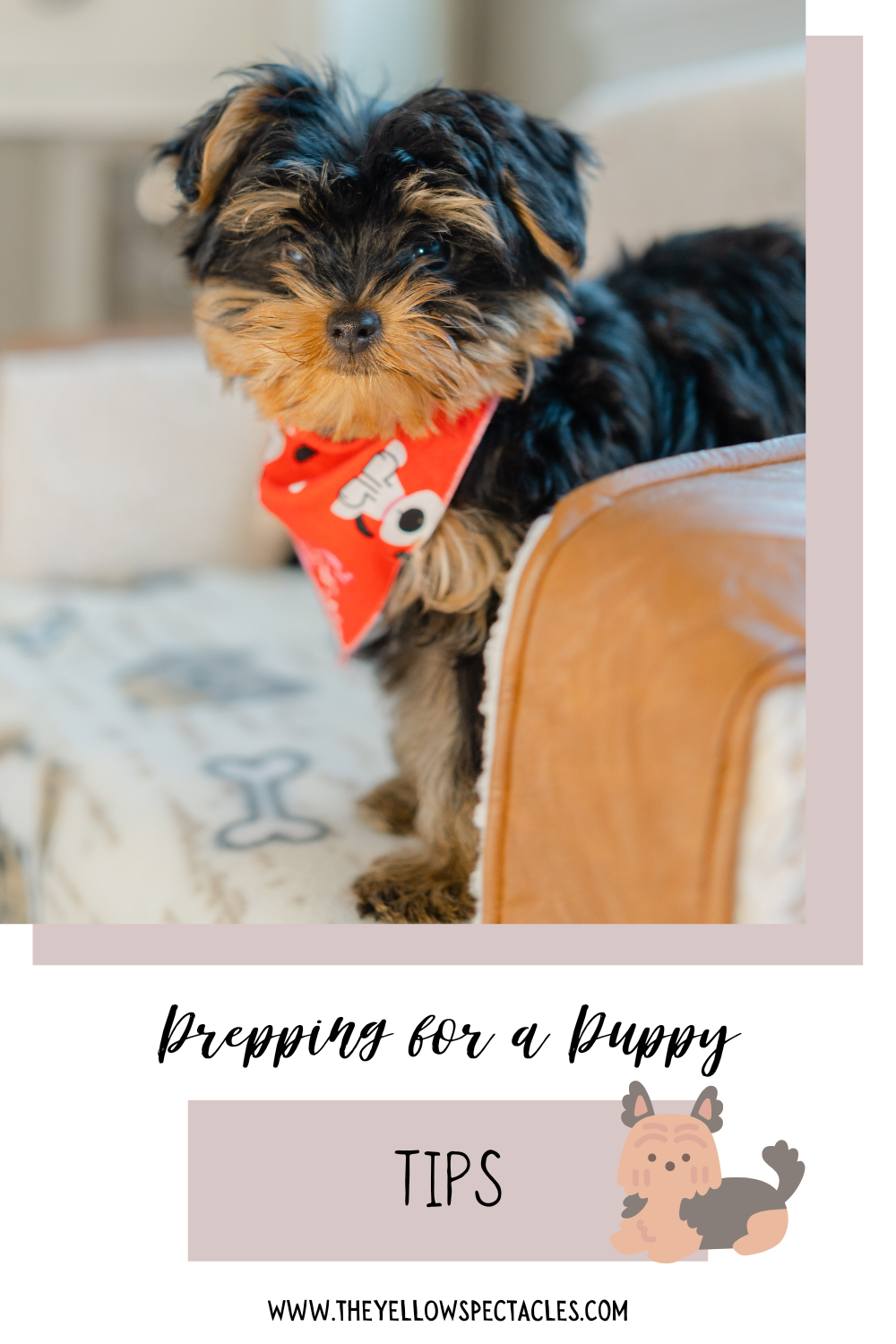 Puppy preparation tips