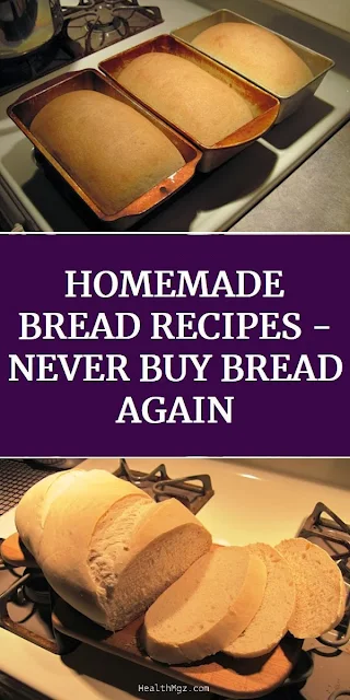 Homemade Bread Recipes: You’ll Never Buy Bread Again