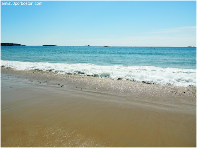 Playas de Massachusetts: Singing Beach