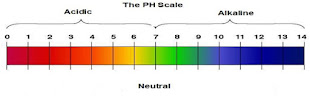 पीएच स्केल की अवधारणा और महत्व |  The Concept and importance of pH Scale in hindi