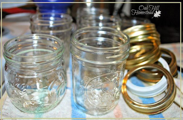 Empty canning jars and rings