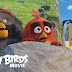 Download Angry Birds The Movie(2016)