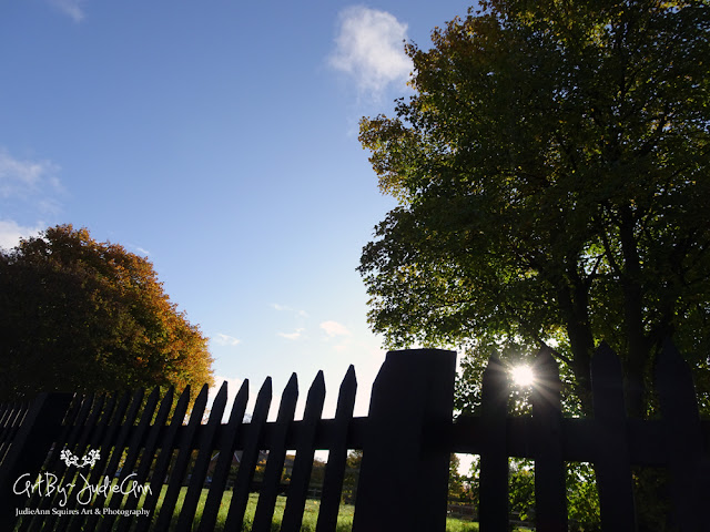 Circular Road Trees In Autumn Photos