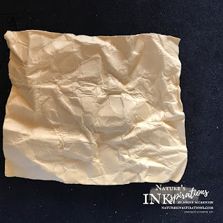 The first unfolding of the wadded paper | Nature's INKspirations by Angie McKenzie