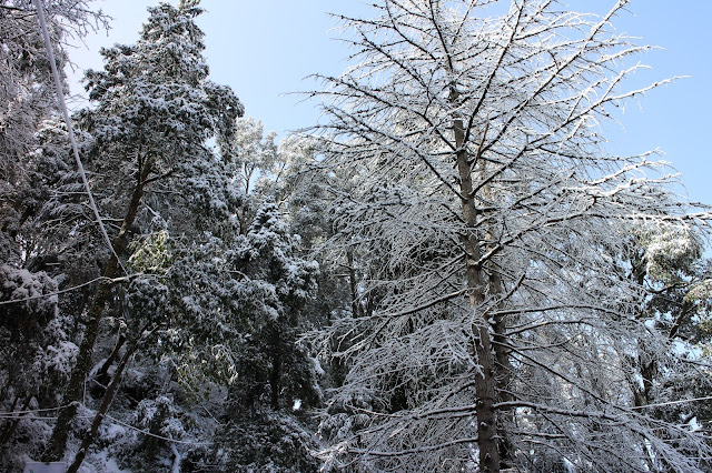 Dalhousie, Himachal Pradesh, Himalayas, India, Travel, Travelogue, snow fall, snow fall in Dalhousie, winter, Dalhousie in Winter, Dalhousie in March