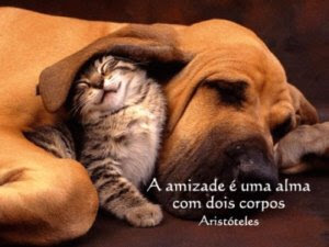 Frases de amizade para os melhores amigos