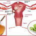 Mix These 2 Ingredients And Destroy Any Cysts And Fibroids