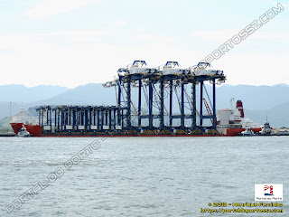 Zhen Hua 10