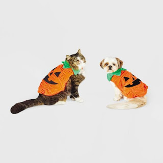 Divertidas ideas de disfraces de Halloween para gatos
