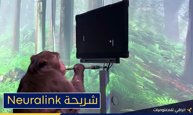 ماسك: في ستة أشهر سيتم زرع شرائح Neuralink في أدمغة البشر