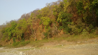 Jim-Corbett-National-Park-Uttarakhand