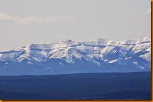 IMG_8287