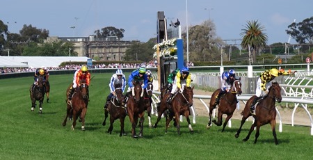race 8 _finish 4