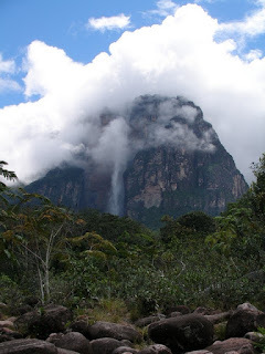 angelfalls Photographer aeruginosa