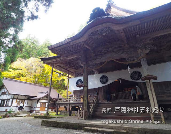 [秋の戸隠神社] 二池＋五社巡り